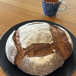 テンパーニュ - 