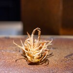 天ぷらあら木 - 2025.4 車海老の頭