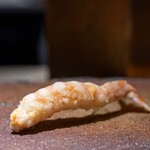 天ぷらあら木 - 2025.4 車海老（ミディアム）