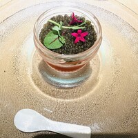 地球星 - 