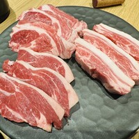 金山成吉思汗 - 