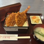 ソースかつ ごはん処 ハレノヒ - 