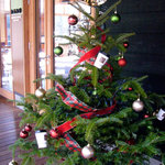 丸山珈琲  - 丸山珈琲のクリスマスツリー