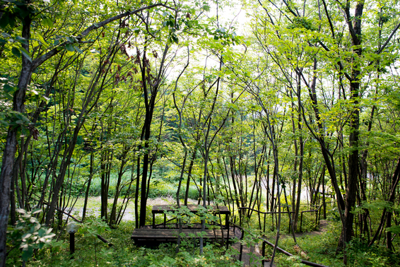 福島市の郷土料理店 和楽日庵 &ndash; 本格和食と温かいおもてなし