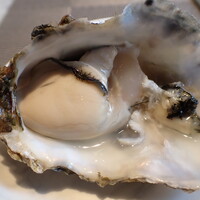 La Brianza - 季節の一品 かなわ水産 生牡蠣