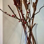 アリー コーヒー - キッチンカウンターのディスプレイ。