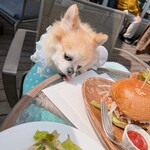 MARINA RESTAURANT TRIM - パンが美味しいのでお裾分け