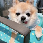 MARINA RESTAURANT TRIM - いい子に座ってます。敷物は持参です。