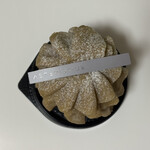 アステリスク - 