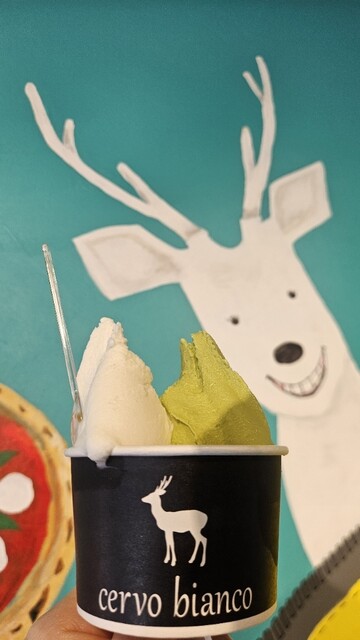 cervo bianco