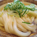 讃岐うどん 條辺 - ひやかけ1玉