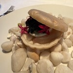 ナチュール・エ・サンス - 