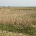 清水屋 - 妙岐の鼻＠稲敷市