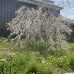 綿向山ビレッジ キッチン&ゲストハウス - 