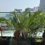 ビートルナッツタイベトナメーゼディムサム - 