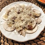 XIRINGUITO Escriba - 