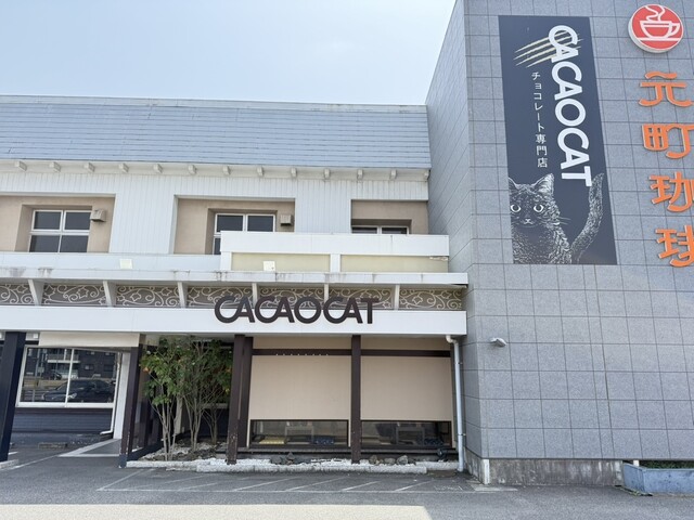 CACAOCAT Ichinomiya Midori Ten