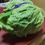 パワーセンターうおかつ - 料理写真:春キャベツ　139円（税別）