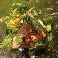 RISTORANTE IL NODO - 