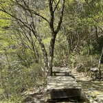 手打そば 時屋 - 