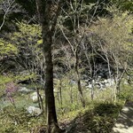 手打そば 時屋 - 