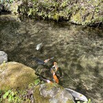 手打そば 時屋 - 