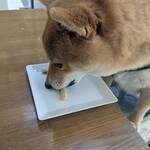 ナンナカフェ - 