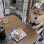 ナンナカフェ - 