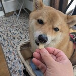 ナンナカフェ - 