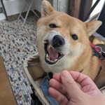 ナンナカフェ - 