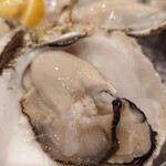 オイスタープレート - 