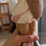 Raccolta Gelato - 