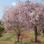 信楽カントリー倶楽部 田代コース レストラン - 