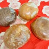 Tecona bagel 自由が丘