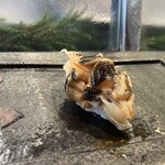 鮨 寿海つばさ - 