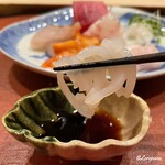 御料理 寺沢 - 槍烏賊の糸造り