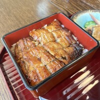 鰻 北白川 - 