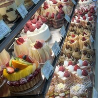 フィオレンティーナ - 