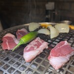 焼肉ホルモン 風土. - 