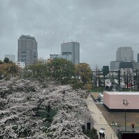 ＳＩＬＩＮ 火龍園 - 