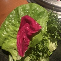 生粋 - 