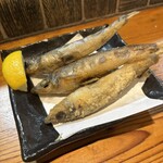 なかめのてっぺん - 