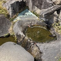 いぶき 東京駅 TEKKO avenue - 