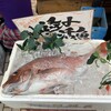 釣宿酒場マヅメ 野毛本店