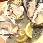 新中野牡蠣basara - 