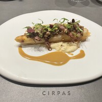 CIRPAS - 