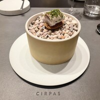 CIRPAS - 