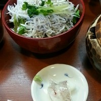 魚めし 竹亭 - しらす丼