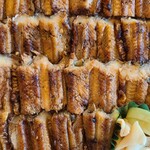 庭園の宿 石亭 - 