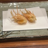 天冨良 よこ田 - 